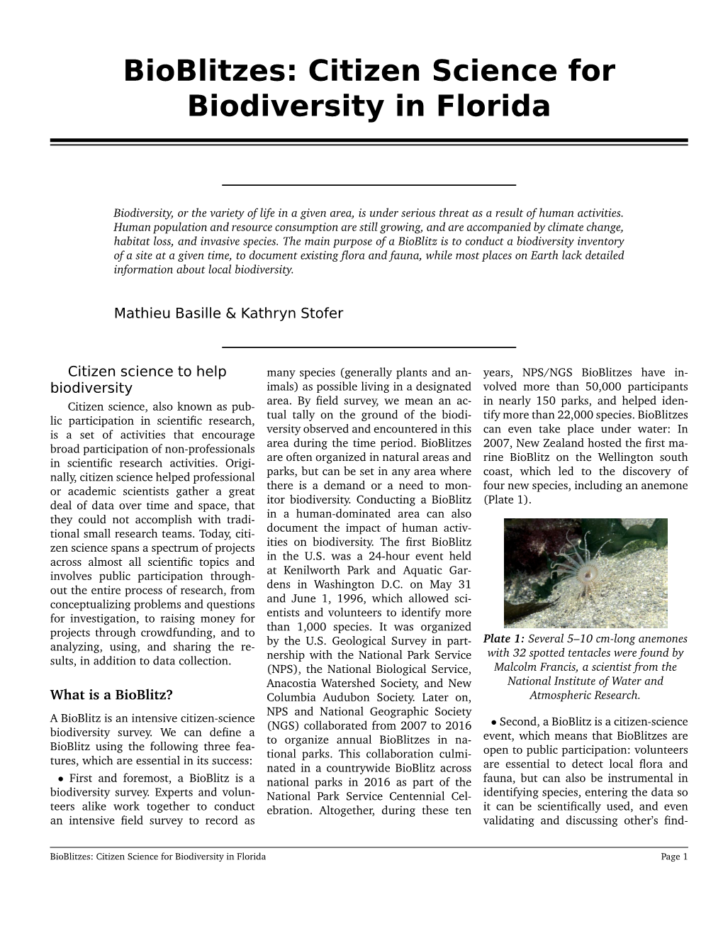 Bioblitzes: Citizen Science for Biodiversity in Florida