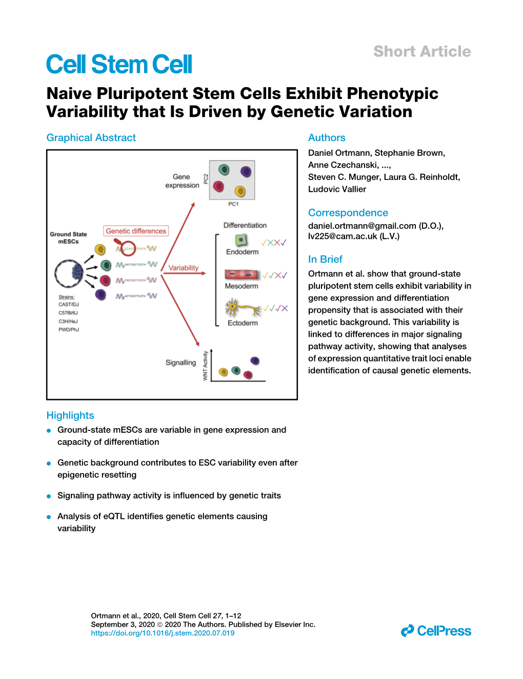 Naive Pluripotent Stem Cells Exhibit Phenotypic Variability That Is Driven by Genetic Variation