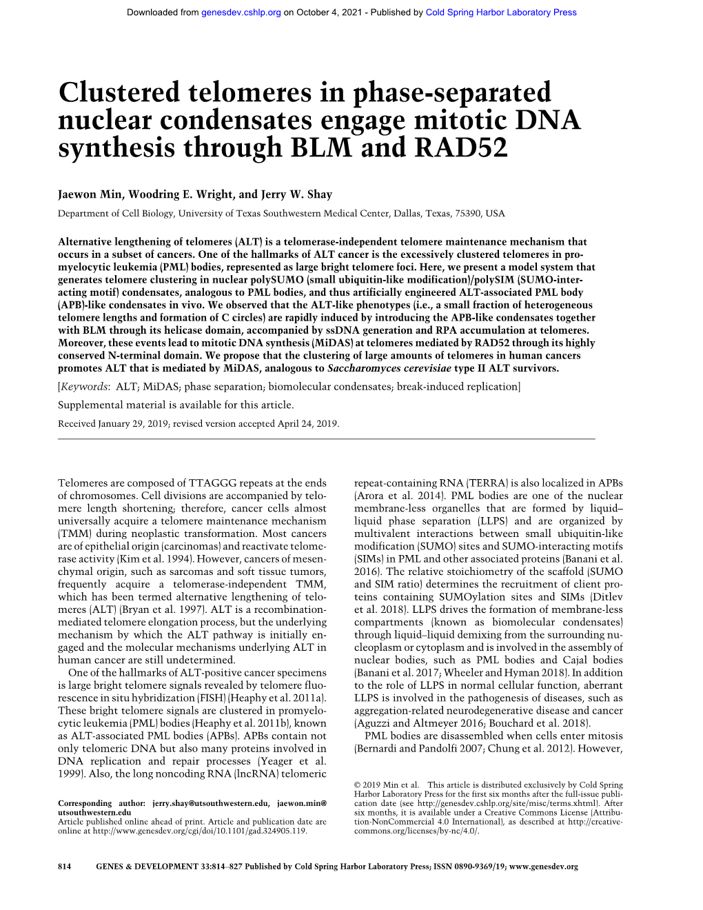 Clustered Telomeres in Phase-Separated Nuclear Condensates Engage Mitotic DNA Synthesis Through BLM and RAD52