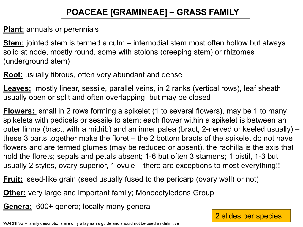 Triticeae Tribe