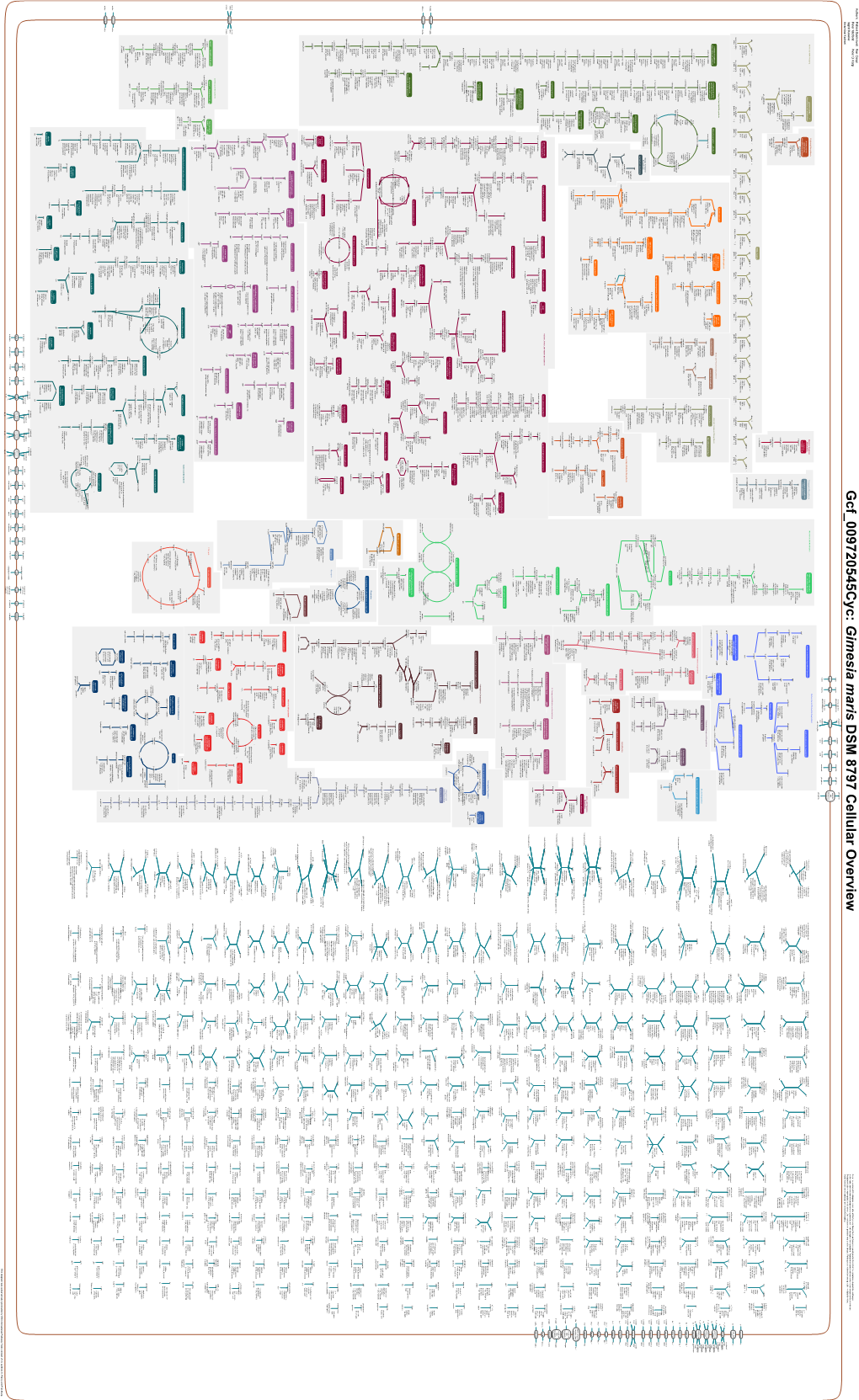 Generated by SRI International Pathway Tools Version 25.0, Authors S