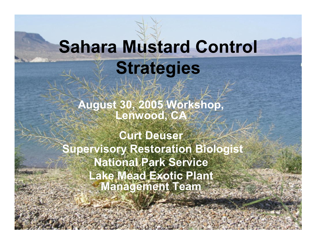 Saharan Mustard Control Strategies