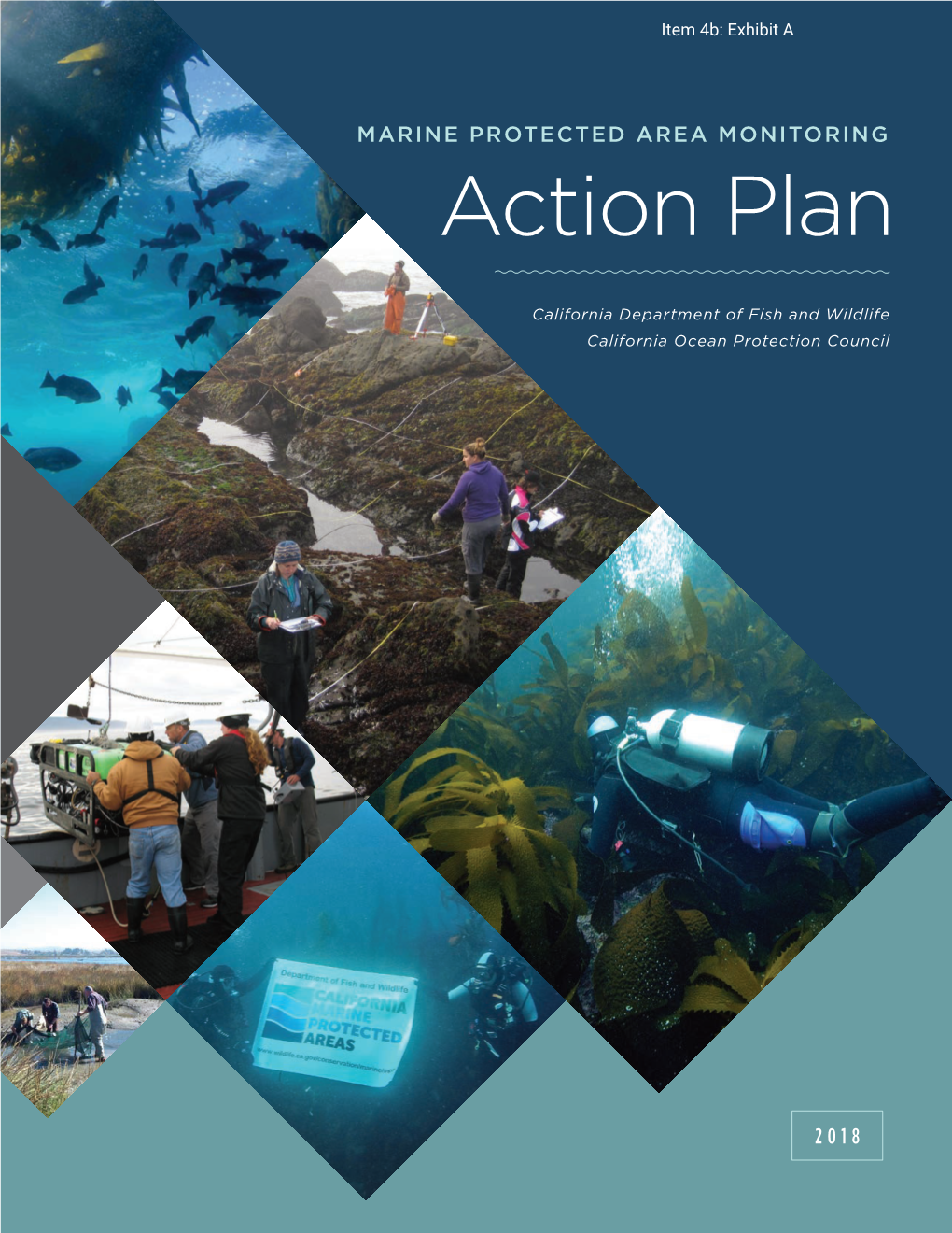 MARINE PROTECTED AREA MONITORING Action Plan