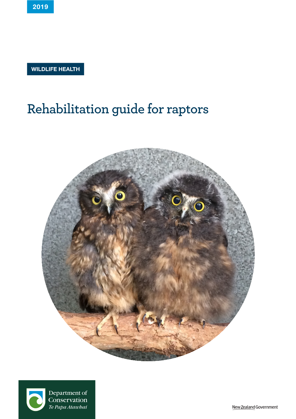 Rehabilitation Guide for Raptors Cover: Ruru Chicks