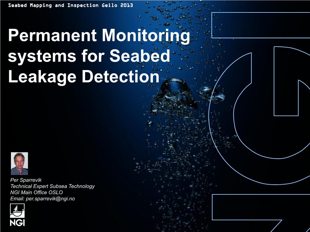 Seabed Gas Leakage Detection