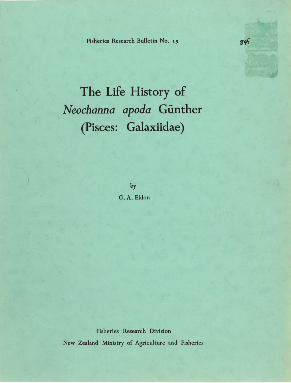 The Life History of Neochanna Apoda Günther (Pisces: Galaxiidae)