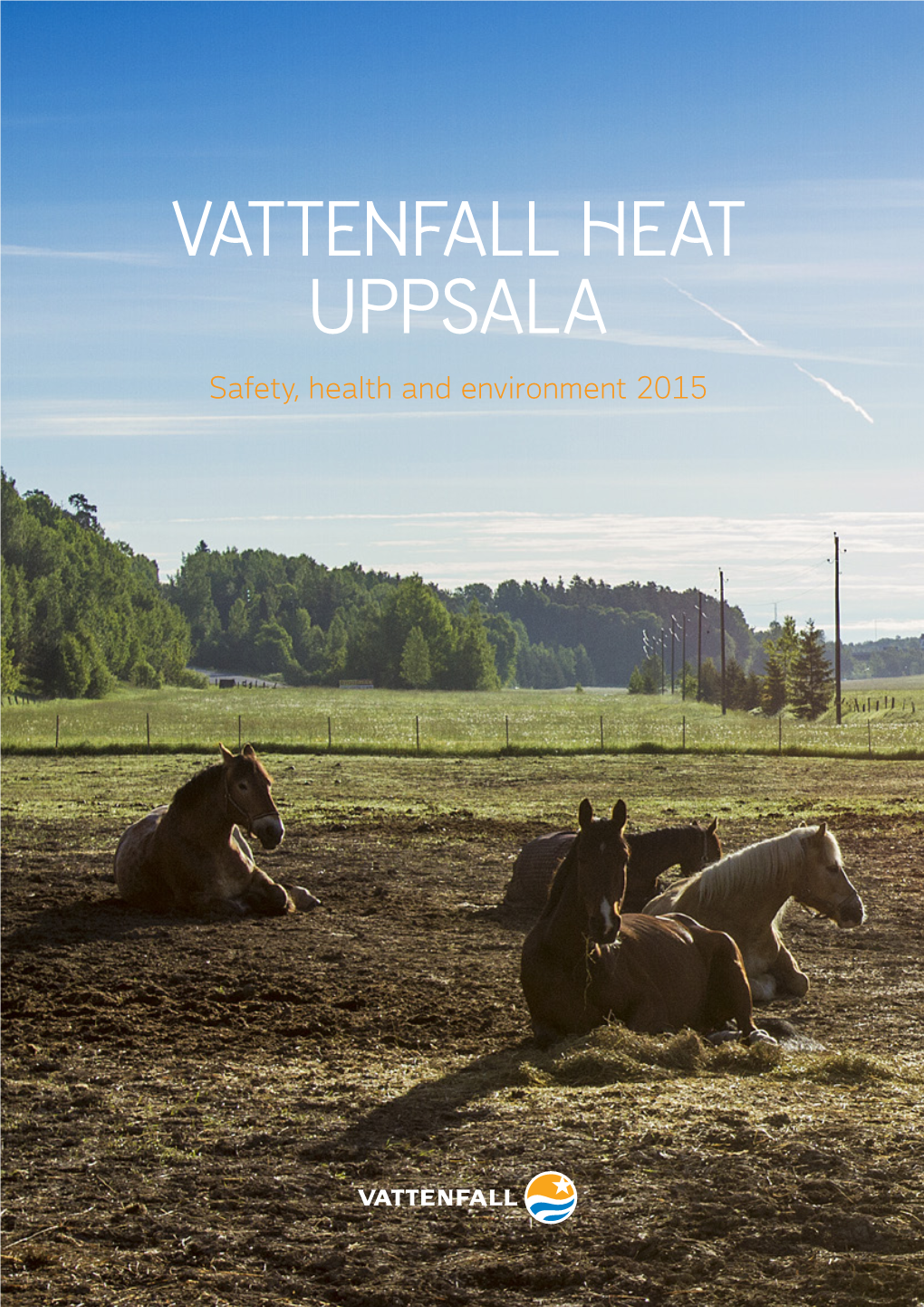 Vattenfall Heat Uppsala Safety, Health and Environment 2015 Your Local Content Vattenfall Heat Uppsala Heats the City of Preface 3 Uppsala with District Heating