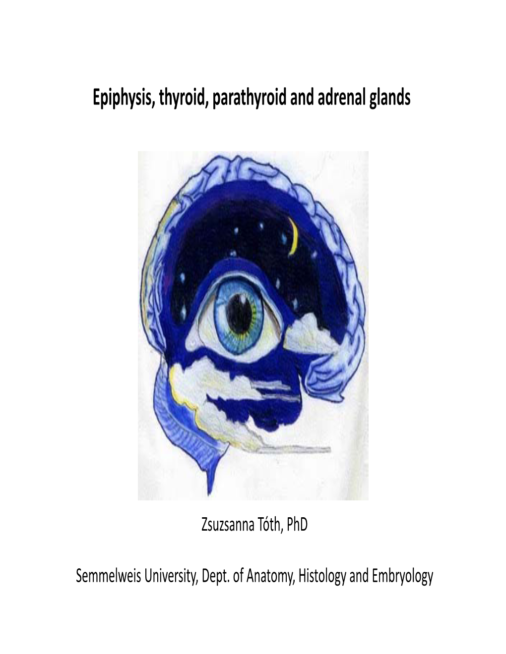 Epiphysis, Thyroid, Parathyroid and Adrenal Glands