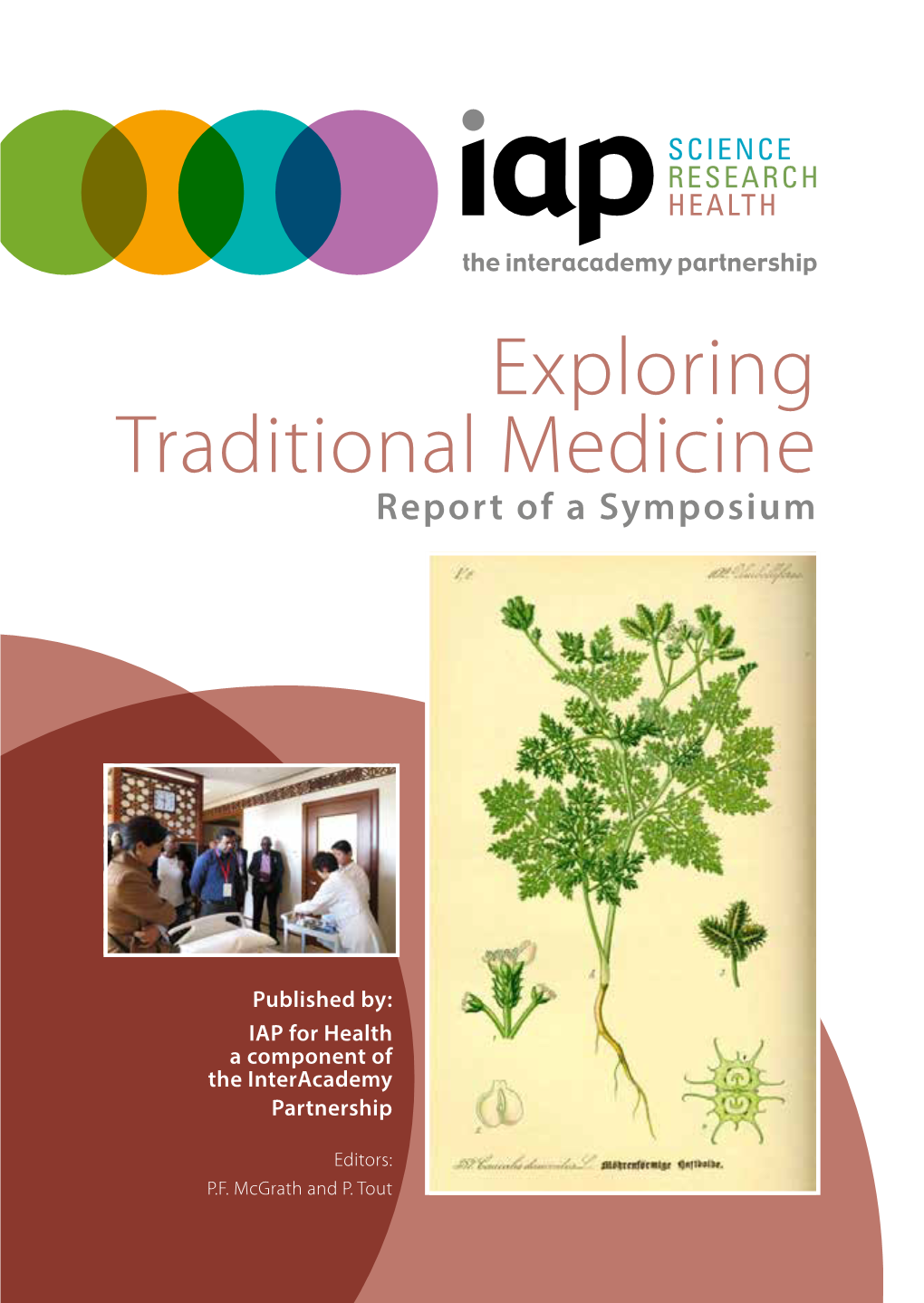 Exploring Traditional Medicine Report of a Symposium