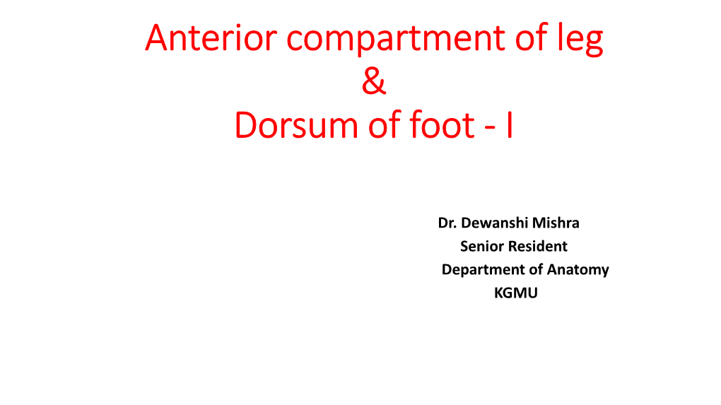 Anterior Compartment of Leg & Dorsum of Foot