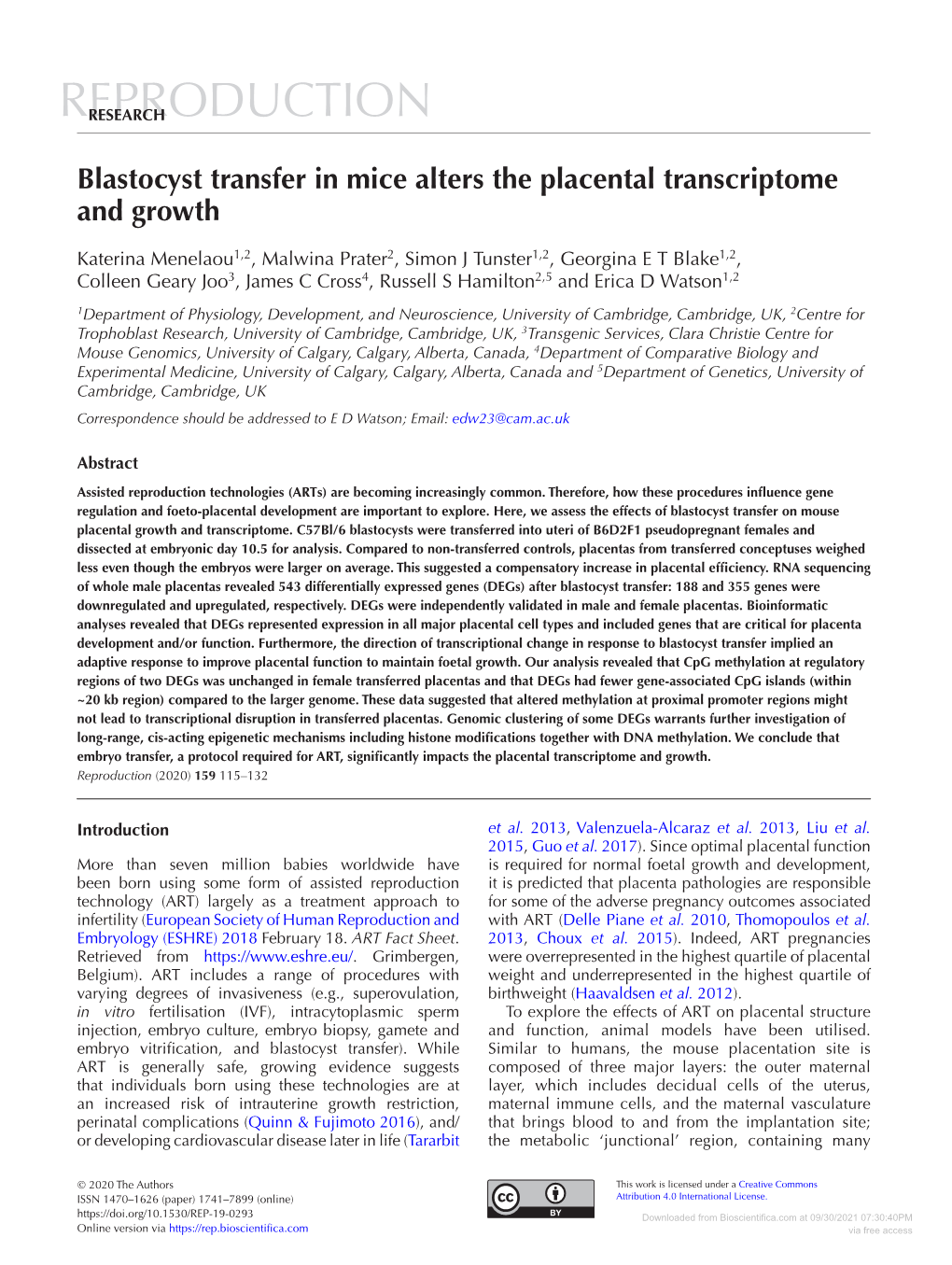 Blastocyst Transfer in Mice Alters the Placental Transcriptome and Growth