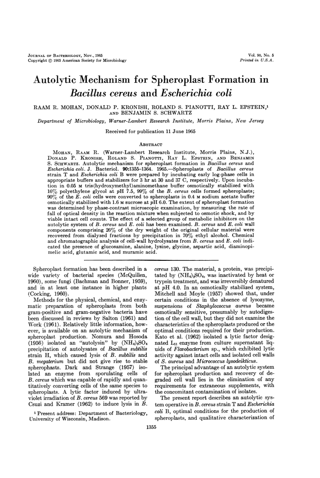 Autolytic Mechanism for Spheroplast Formation in Bacillus Cereus and Escherichia Coli RAAM R
