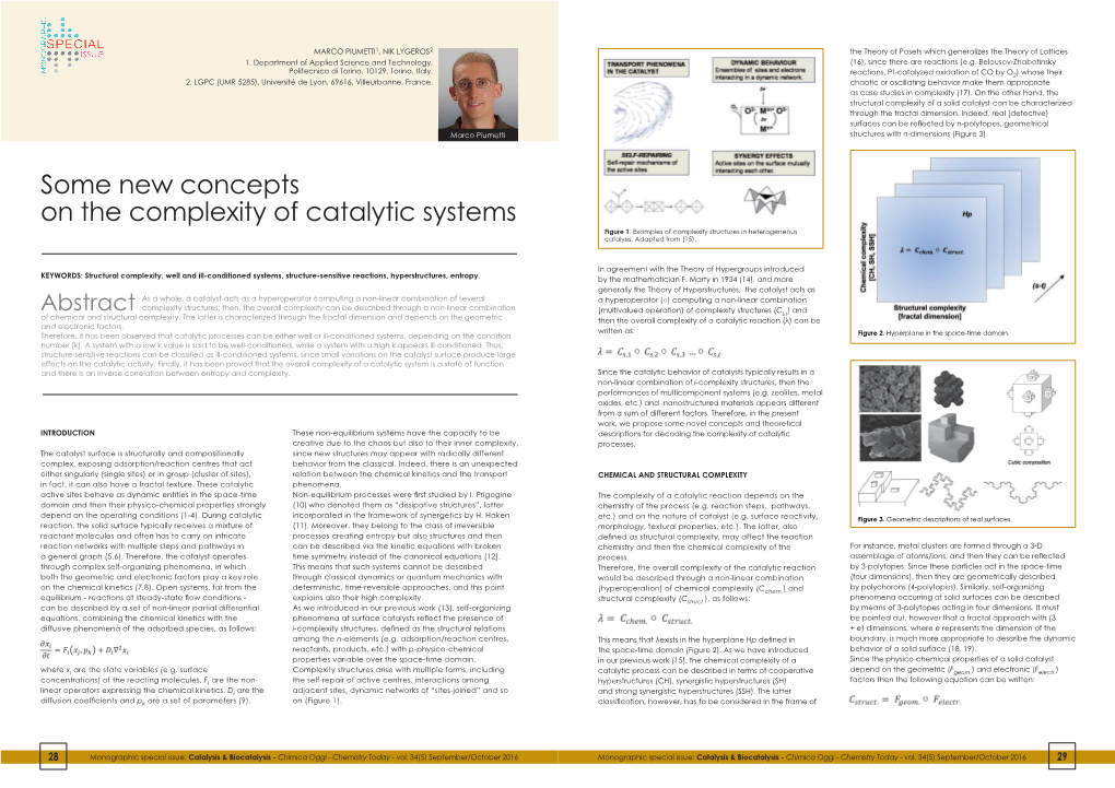 Some New Concepts on the Complexity of Catalytic Systems Figure 1