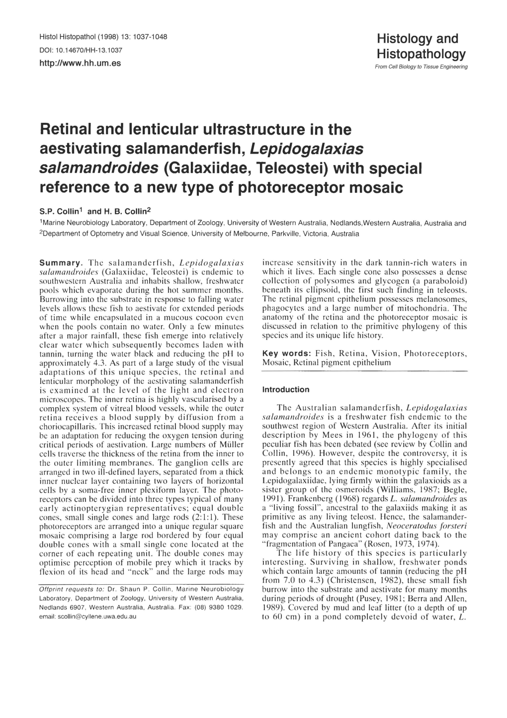 Retinal and Lenticular Ultrastructure in The