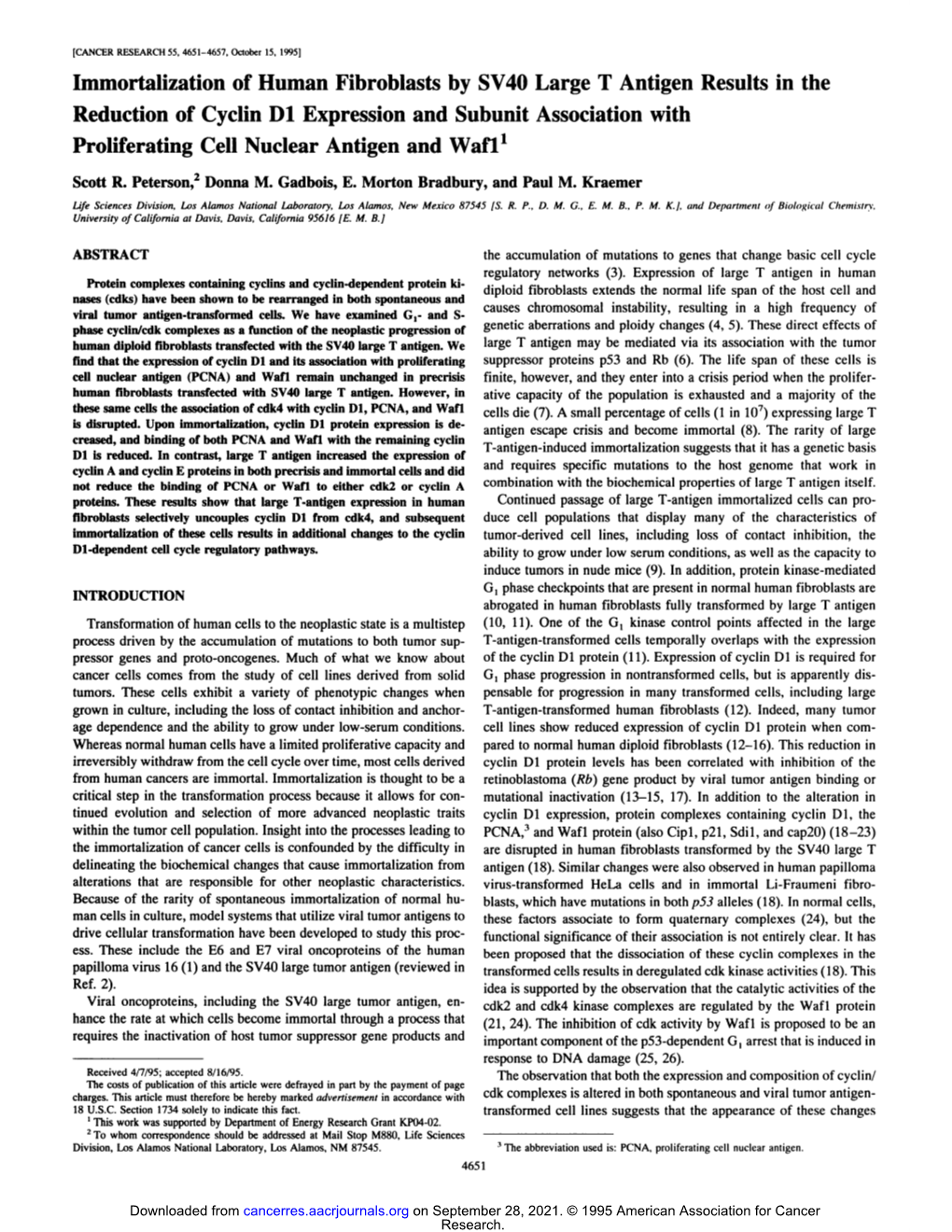 Immortalization of Human Fibroblasts by Sv4olarge T Antigen Results In