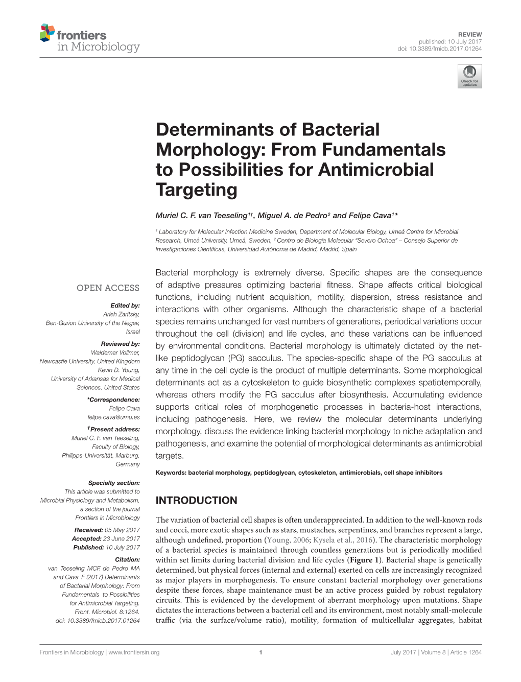 Determinants of Bacterial Morphology: from Fundamentals to Possibilities for Antimicrobial Targeting