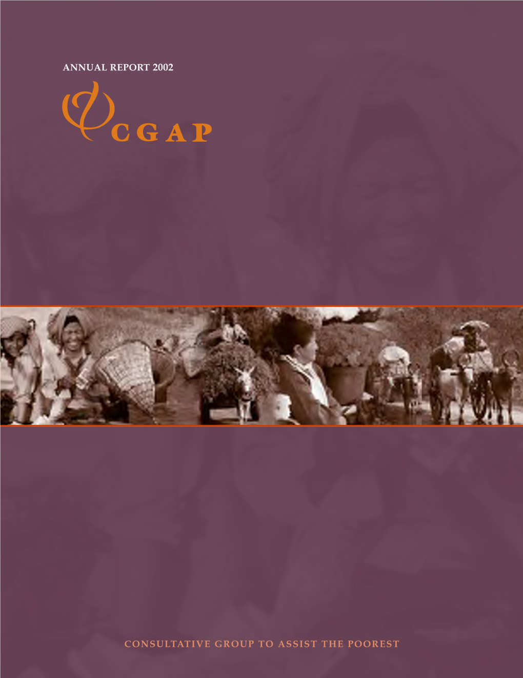 Cgap Annual Report 2002