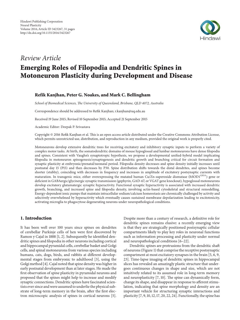 Emerging Roles of Filopodia and Dendritic Spines in Motoneuron Plasticity During Development and Disease