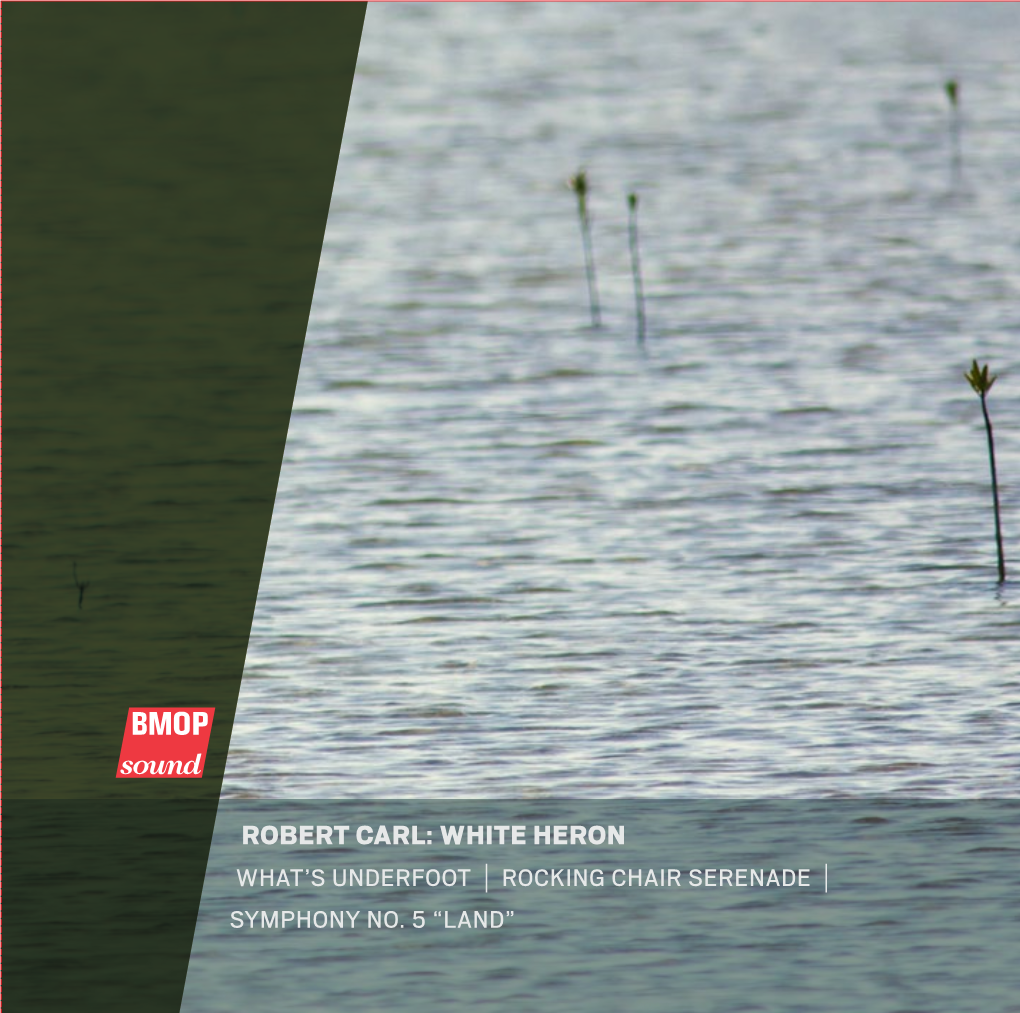 Robert Carl: White Heron What’S Underfoot | Rocking Chair Serenade | Symphony No