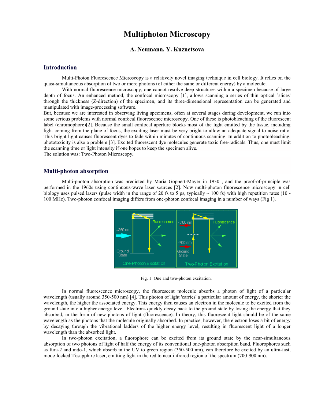 Multiphoton Microscopy