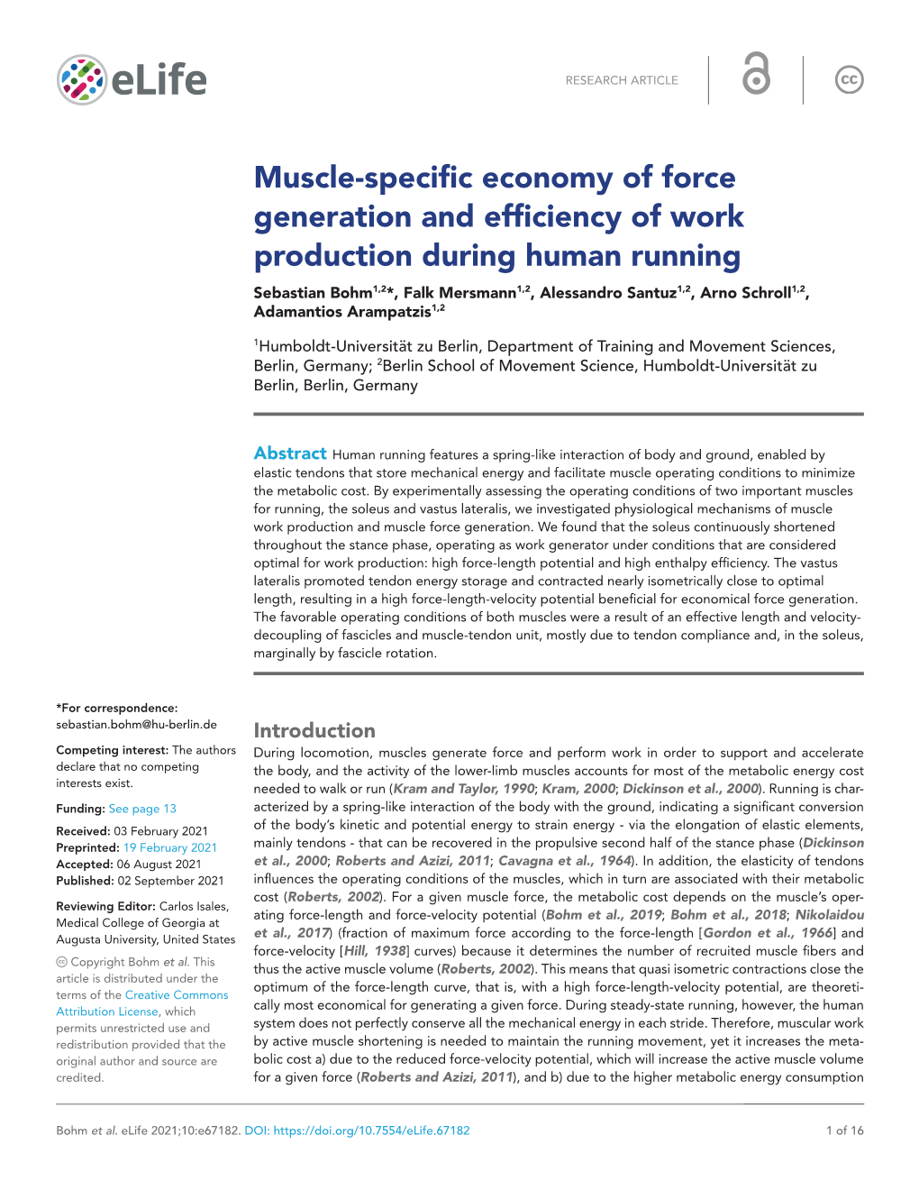 Muscle- Specific Economy of Force Generation and Efficiency of Work
