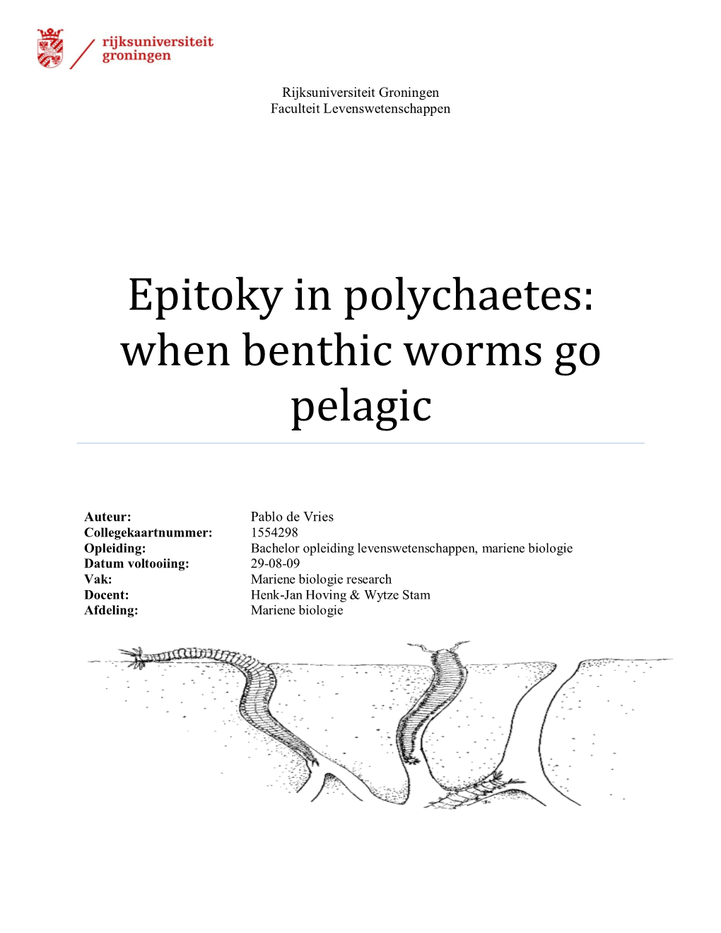 Epitoky in Polychaetes: When Benthic Worms Go Pelagic