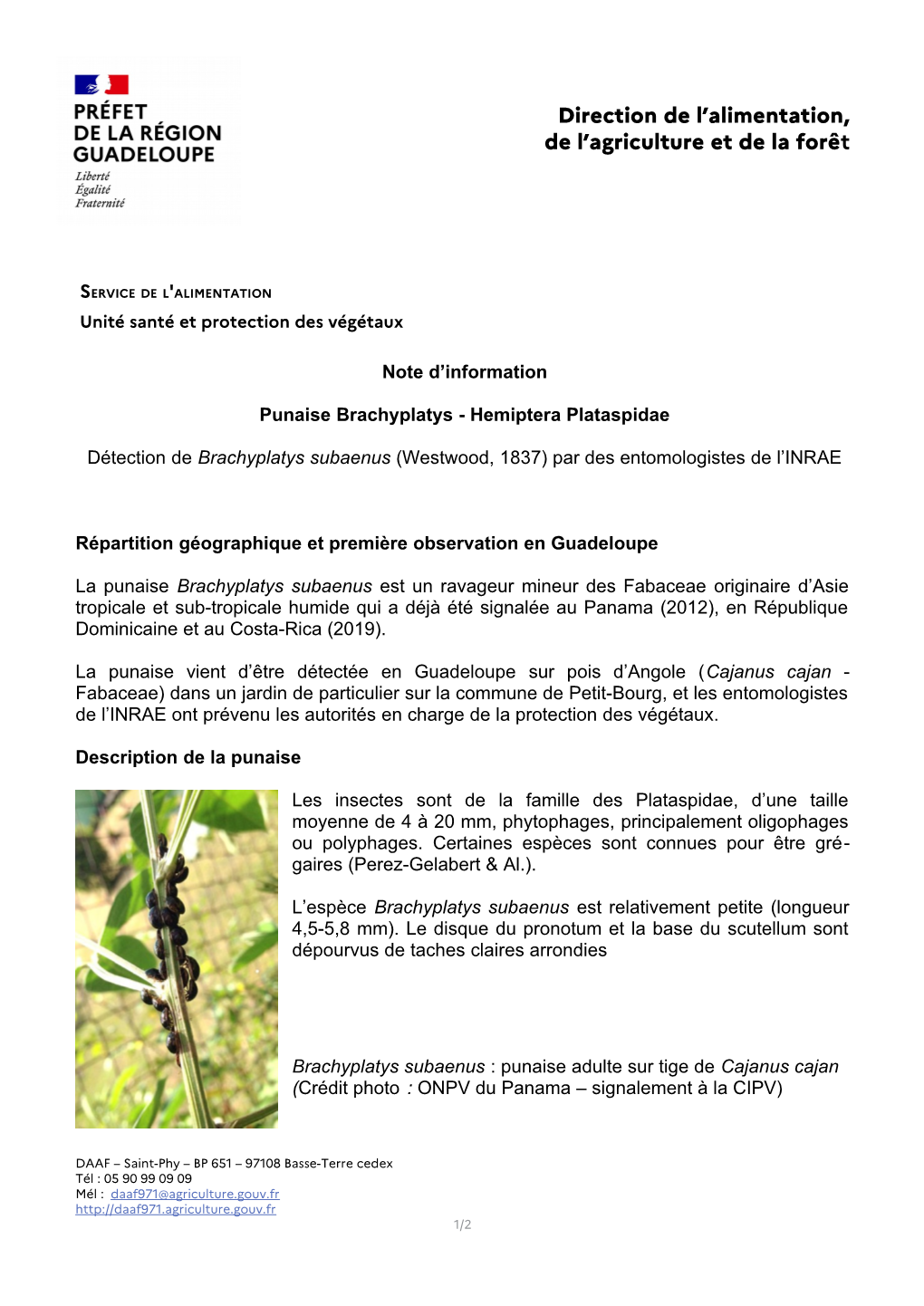 Direction De L'alimentation, De L'agriculture Et De La Forêt