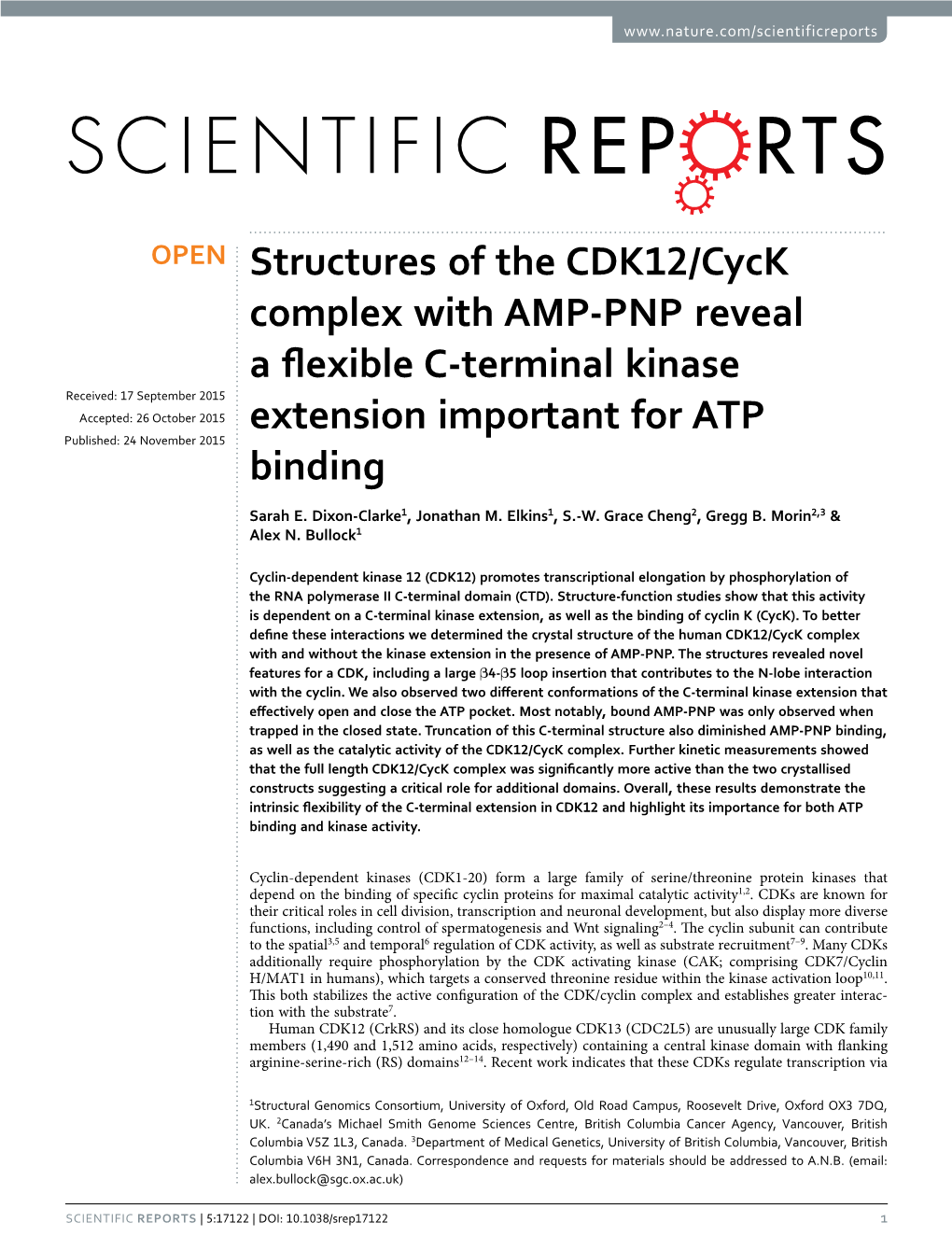 Structures of the CDK12/Cyck Complex with AMP-PNP Reveal A