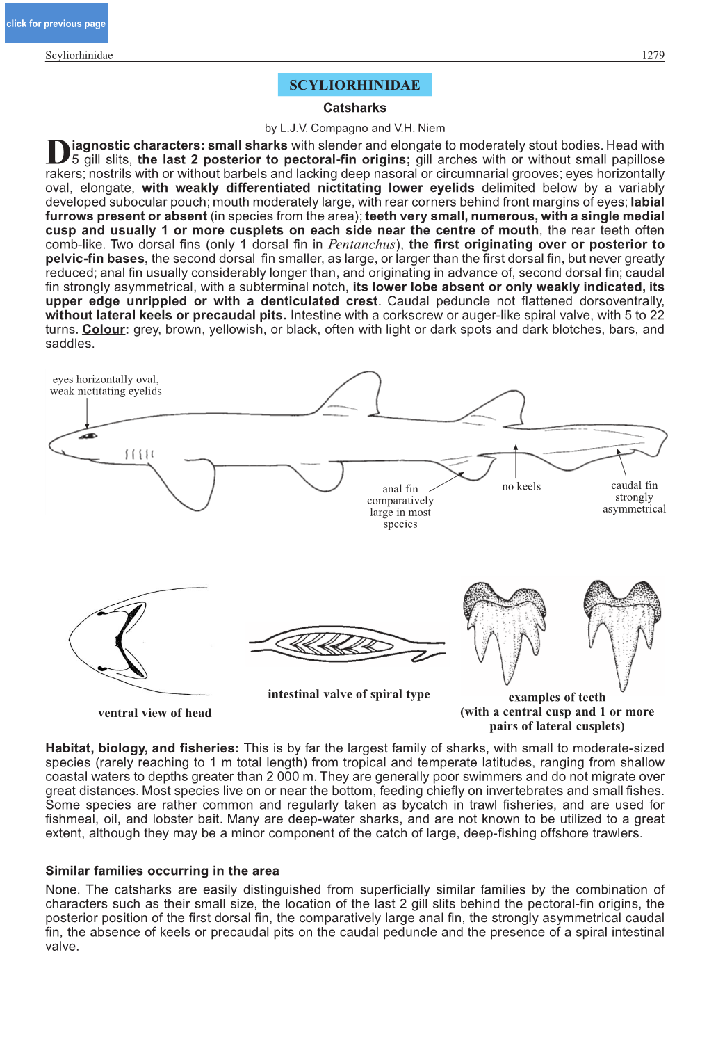 Scyliorhinidae 1279