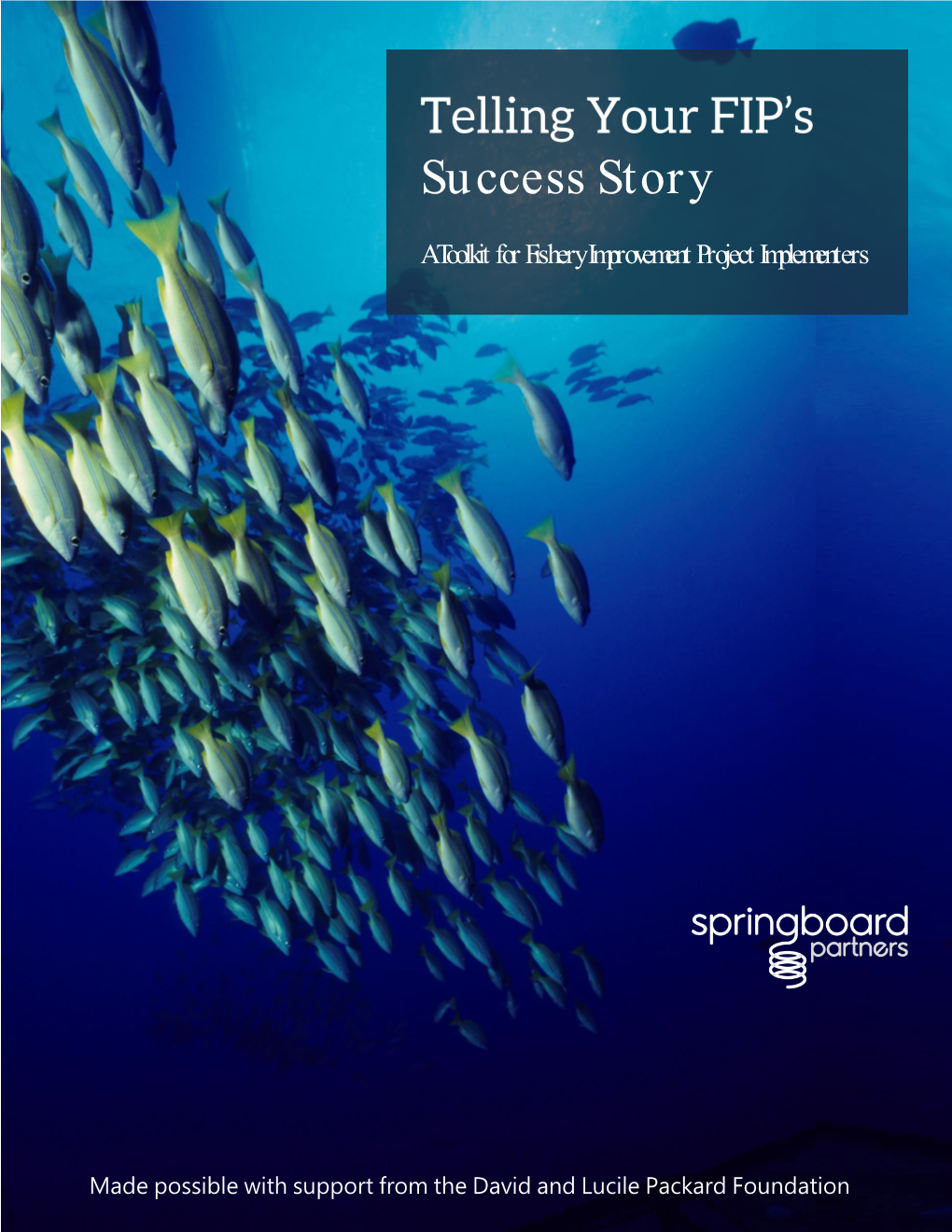 Success Story