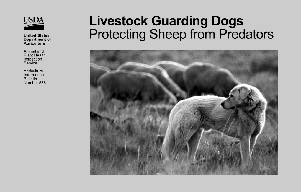 Livestock Guardian Dogs