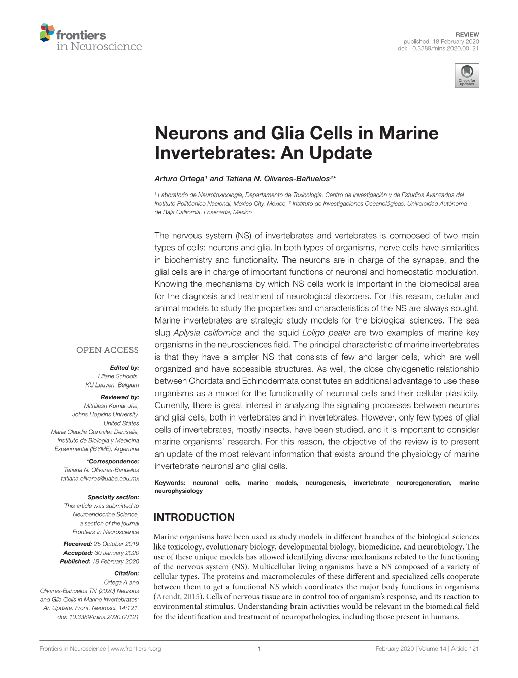 Neurons and Glia Cells in Marine Invertebrates: an Update