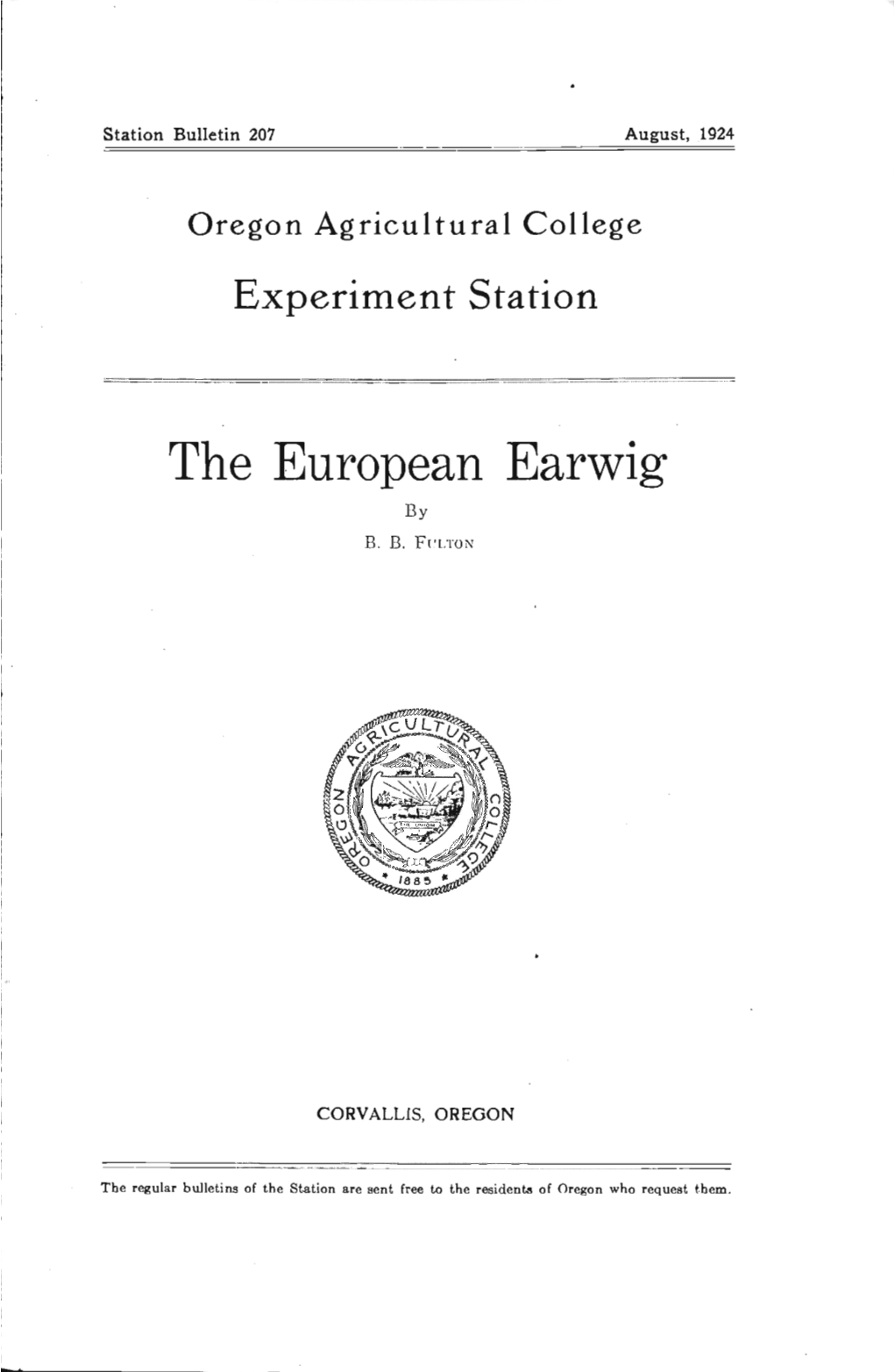 The European Earwig by B