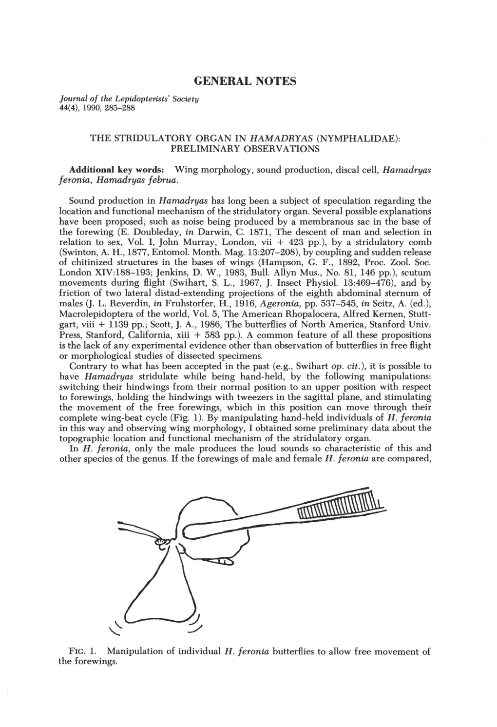 The Stridulatory Organ in Hamadryas (Nymphalidae): Preliminary Observations