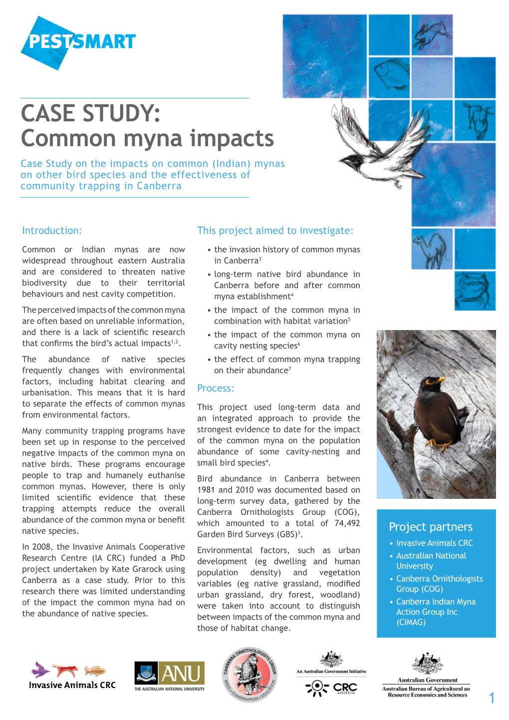CASE STUDY: Common Myna Impacts Case Study on the Impacts on Common (Indian) Mynas on Other Bird Species and the Effectiveness of Community Trapping in Canberra