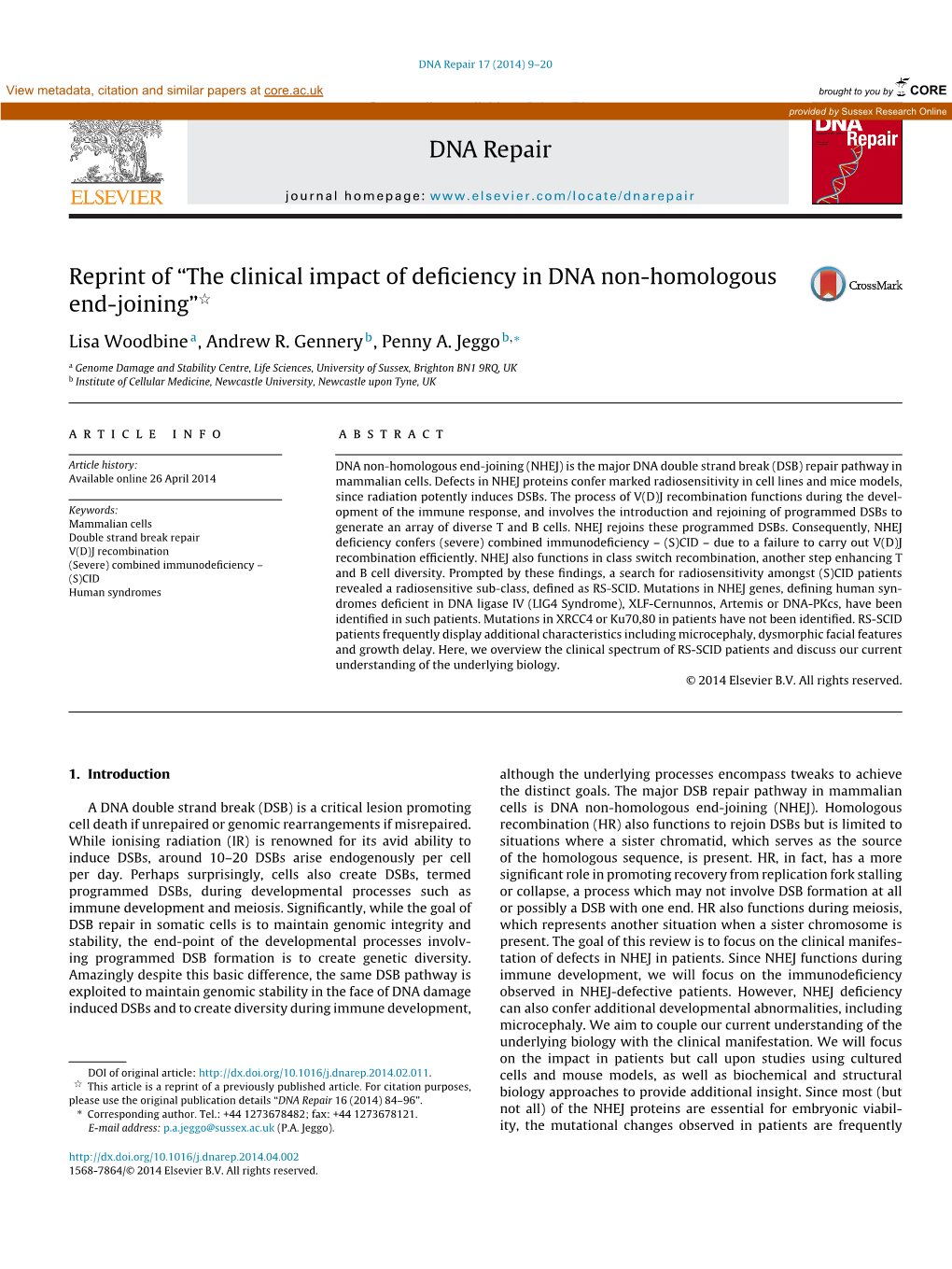 The Clinical Impact of Deficiency in DNA Non-Homologous End