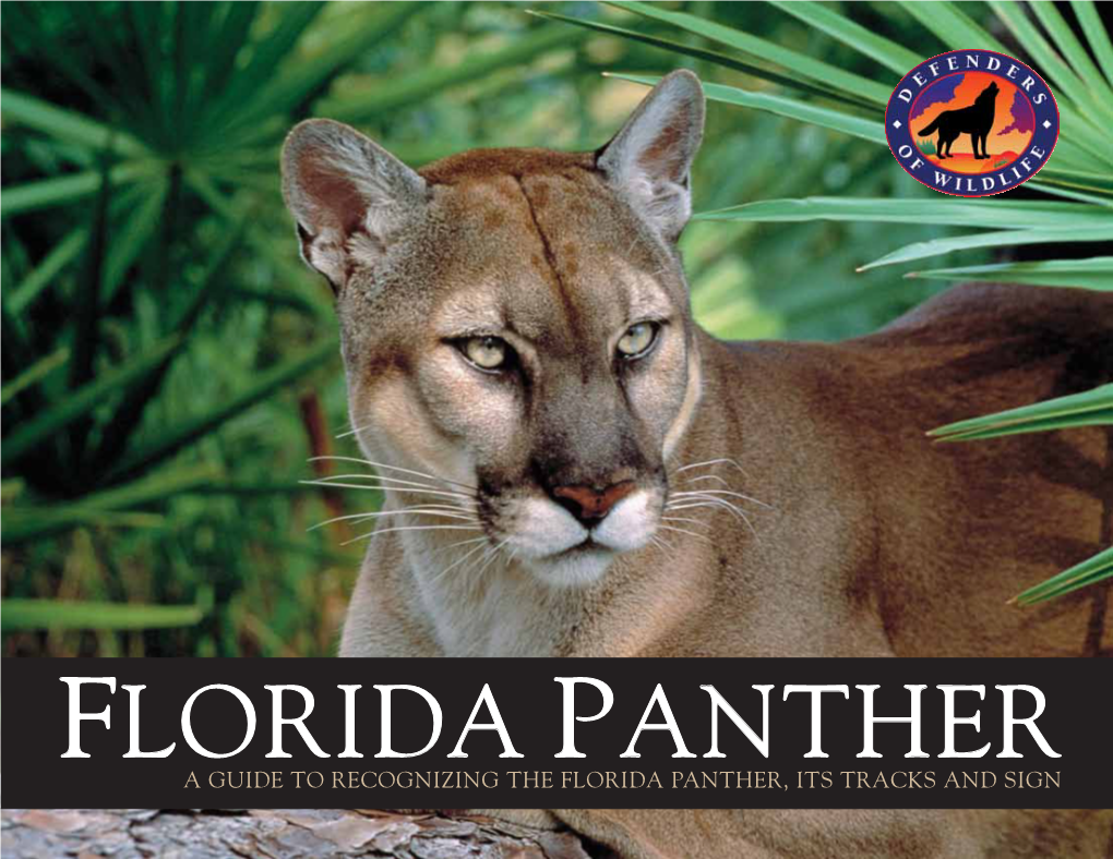 A Guide to Recognizing the Florida Panther, Its Tracks