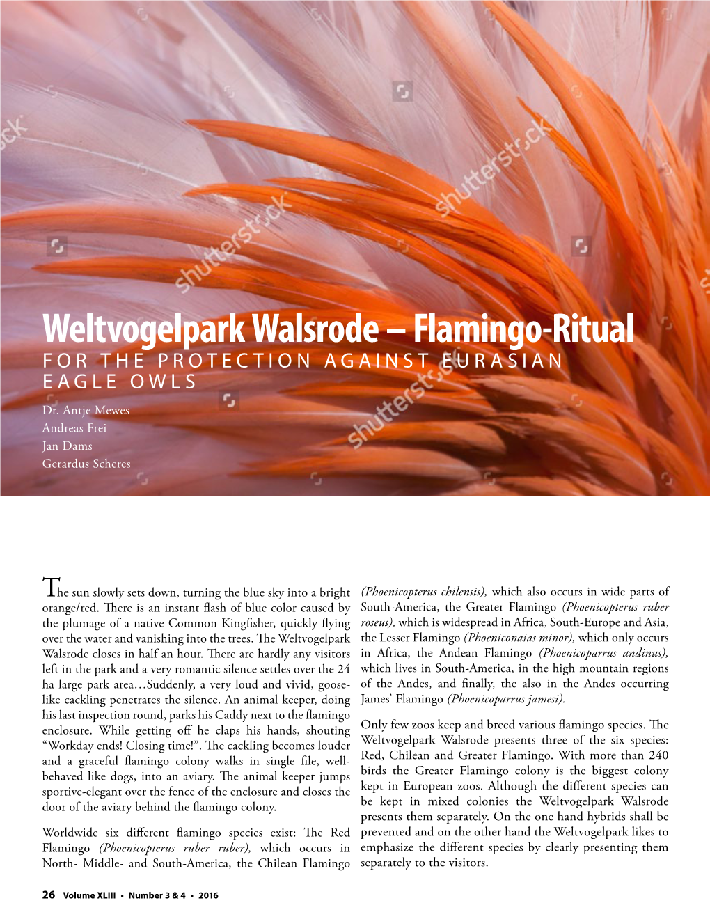 Weltvogelpark Walsrode – Flamingo-Ritual for the PROTECTION AGAINST EU R ASIAN E AGLE OWLS Dr