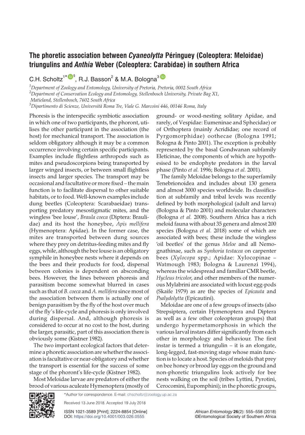 The Phoretic Association Between Cyaneolytta Péringuey (Coleoptera: Meloidae) Triungulins and Anthia Weber (Coleoptera: Carabidae) in Southern Africa