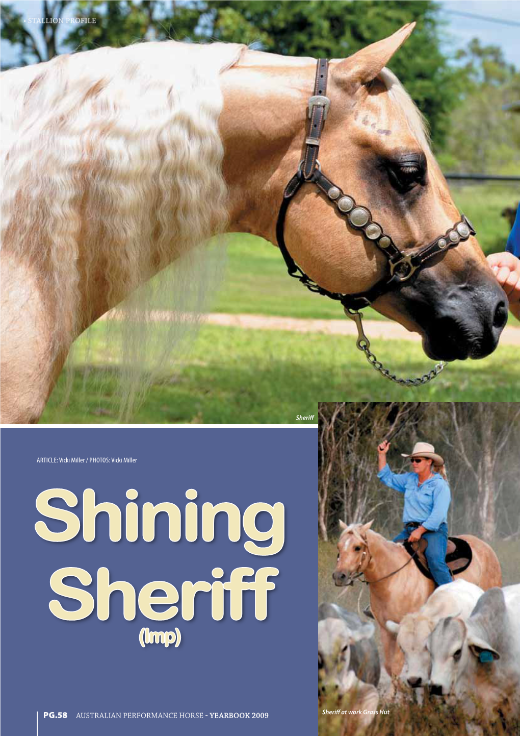 STALLION PROFILE Pg.58 Australian Performance Horse