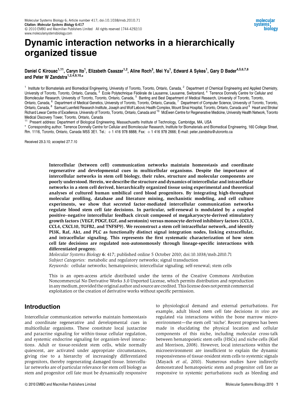 Dynamic Interaction Networks in a Hierarchically Organized Tissue