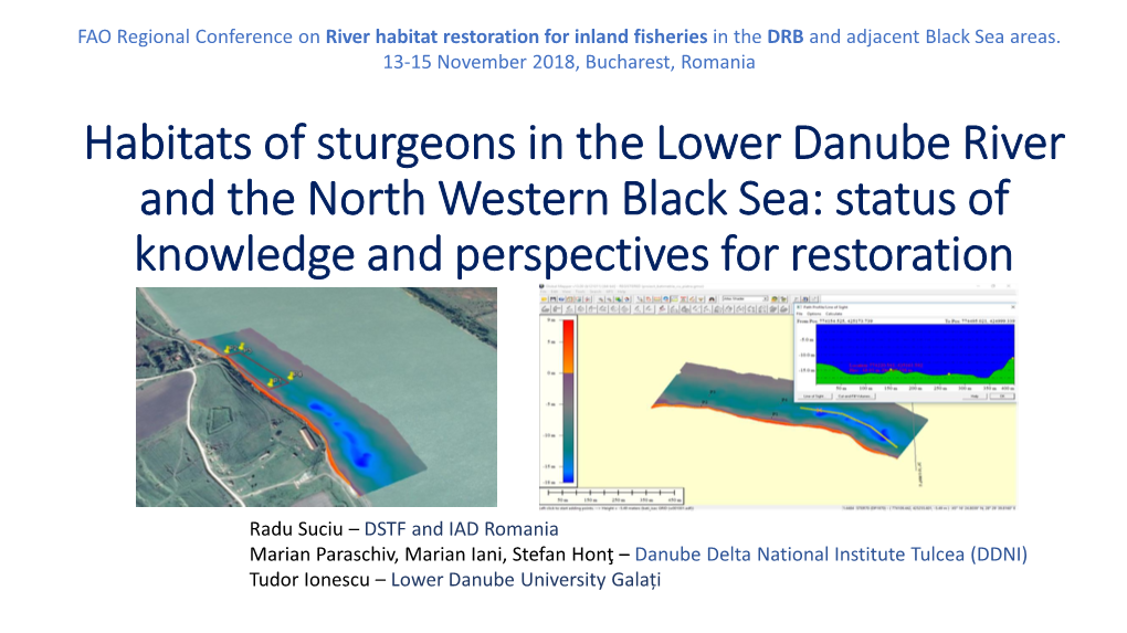 Habitats of Sturgeons in the Lower Danube River and the North Western Black Sea: Status of Knowledge and Perspectives for Restoration