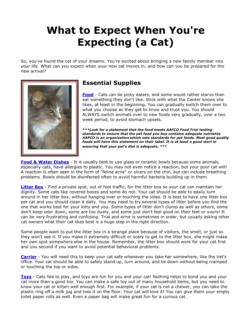 At to Expect When You're Expecting (A Cat)