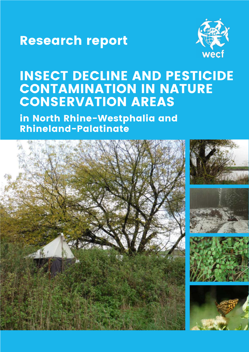 INSECT DECLINE and PESTICIDE CONTAMINATION in NATURE CONSERVATION AREAS in North Rhine-Westphalia and Rhineland-Palatinate