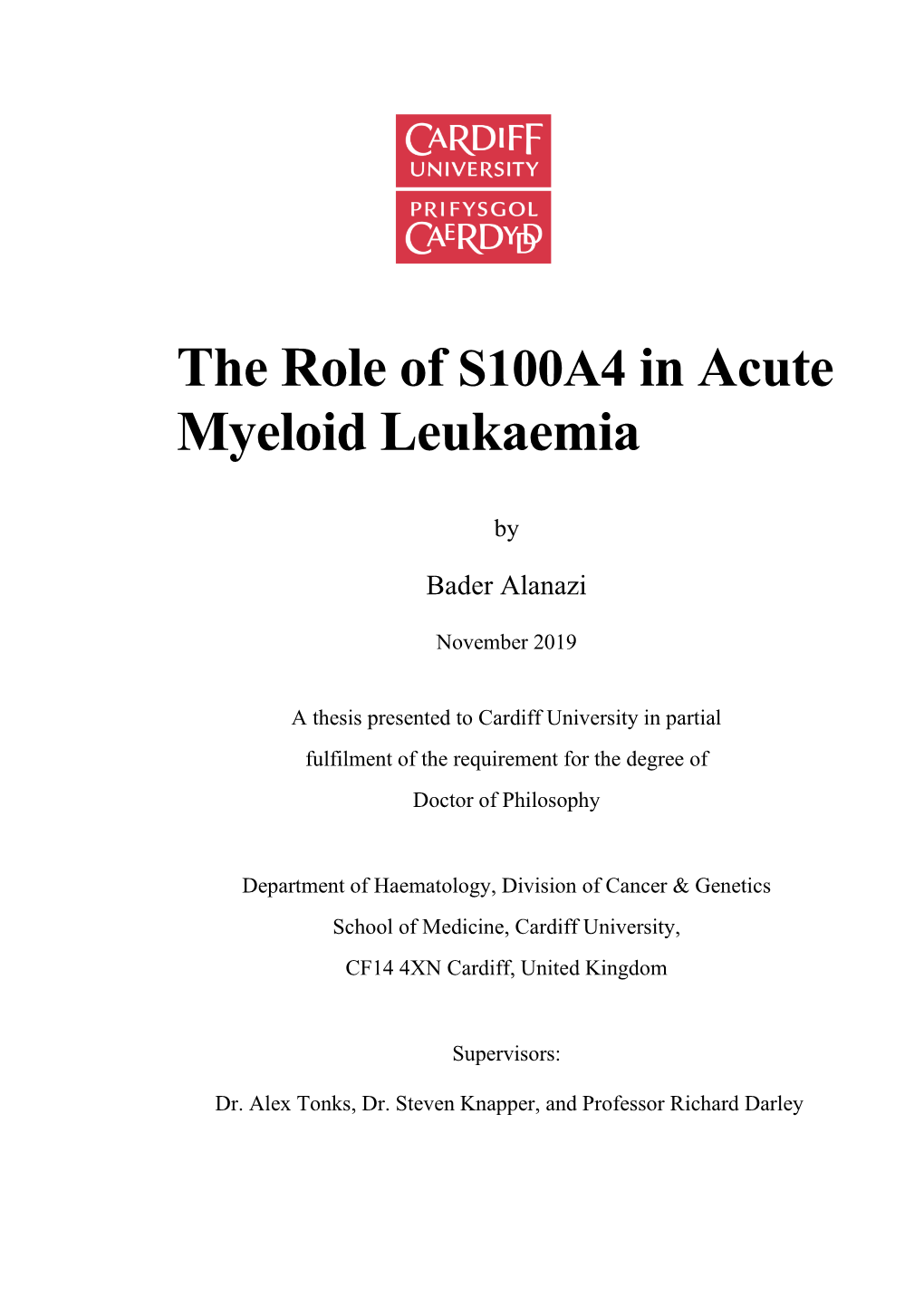 The Role of S100A4 in Acute Myeloid Leukaemia