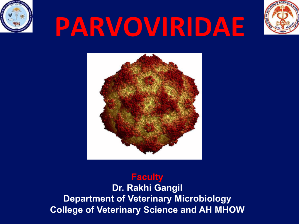 Parvoviridae