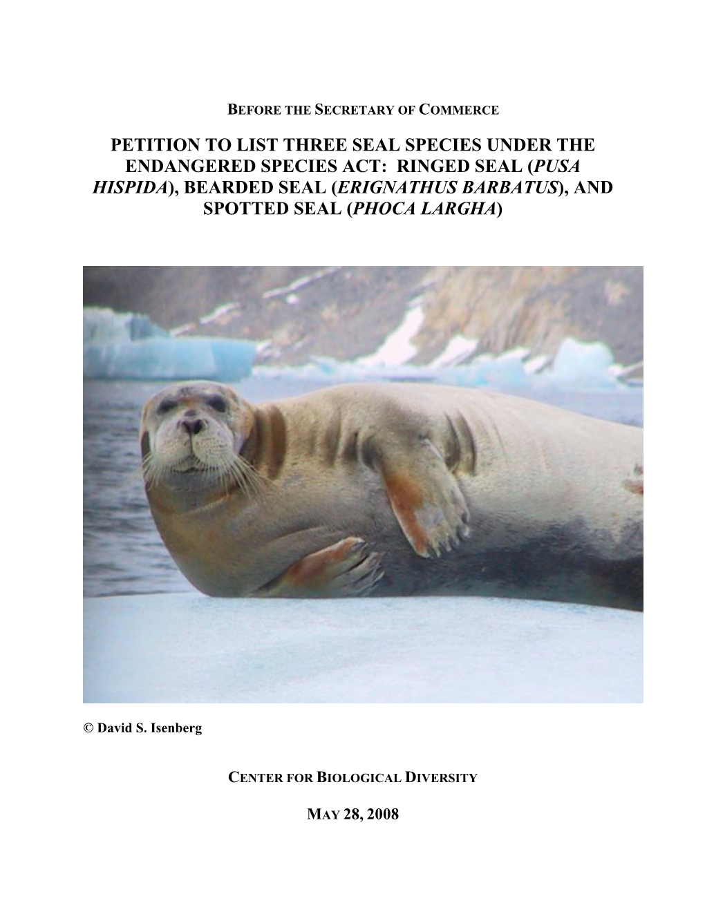 Bearded Seal (Erignathus Barbatus), and Spotted Seal (Phoca Largha)