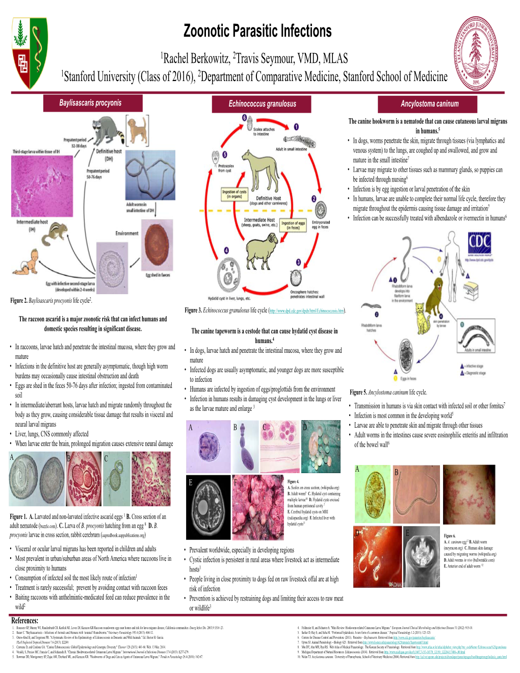 Zoonotic Parasitic Infections