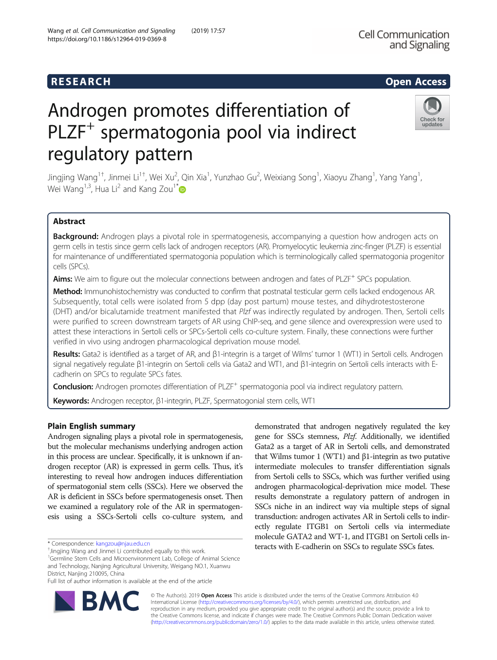 Androgen Promotes Differentiation Of