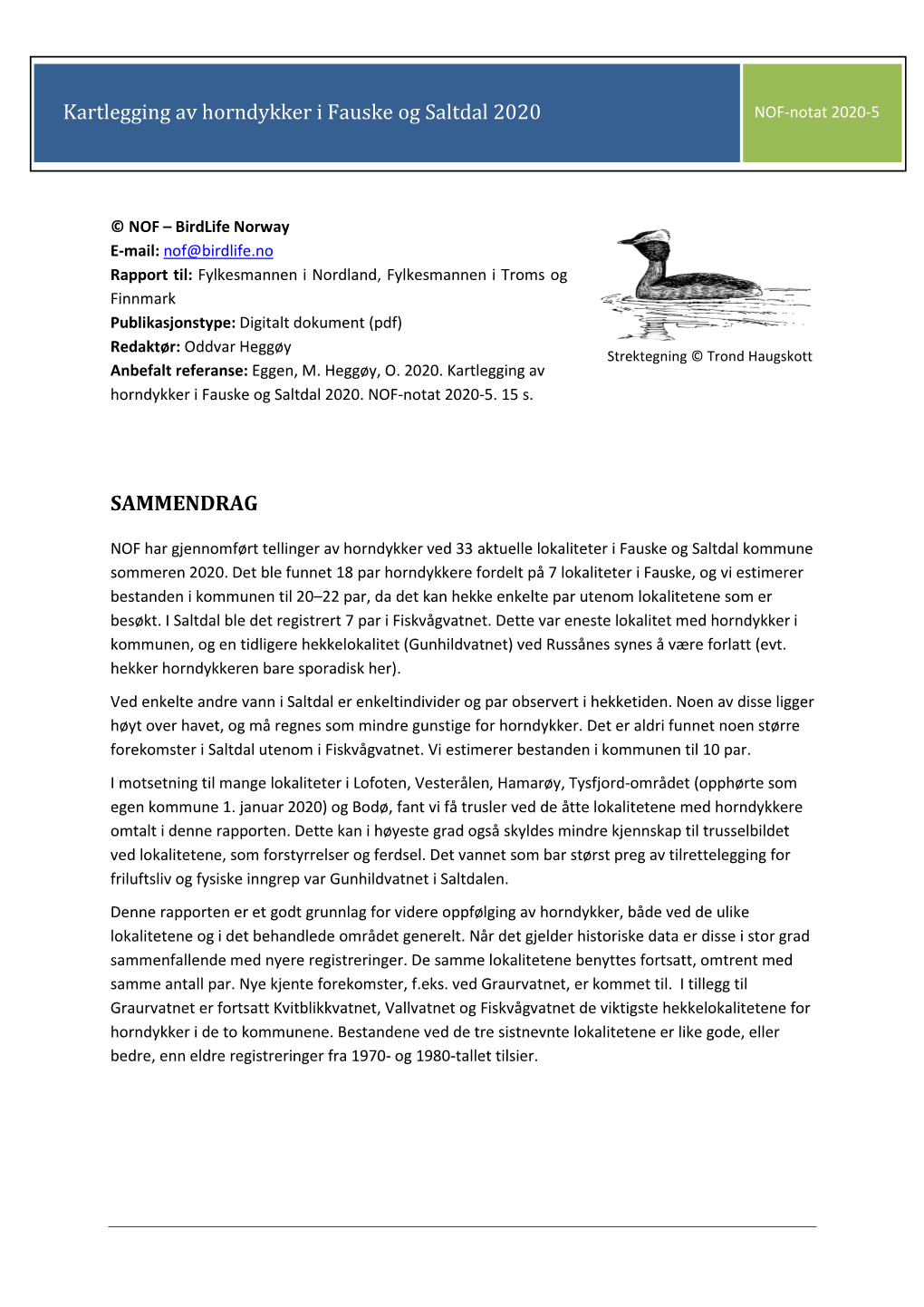 Horndykker I Fauske Og Saltdal 2020 NOF-Notat 2020-5